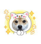福ちゃんだね♡春だね編（個別スタンプ：7）