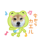 福ちゃんだね♡春だね編（個別スタンプ：8）