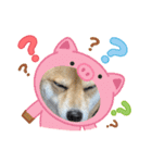 福ちゃんだね♡春だね編（個別スタンプ：9）