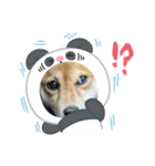 福ちゃんだね♡春だね編（個別スタンプ：11）