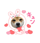 福ちゃんだね♡春だね編（個別スタンプ：12）