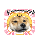 福ちゃんだね♡春だね編（個別スタンプ：14）