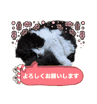 coco 敬語ver.（個別スタンプ：5）