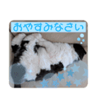coco 敬語ver.（個別スタンプ：7）