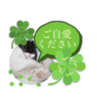 coco 敬語ver.（個別スタンプ：8）