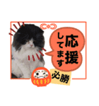 coco 敬語ver.（個別スタンプ：9）
