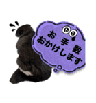 coco 敬語ver.（個別スタンプ：10）