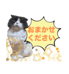 coco 敬語ver.（個別スタンプ：11）