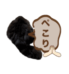 coco 敬語ver.（個別スタンプ：12）