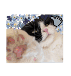 coco 敬語ver.（個別スタンプ：13）