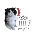 coco 敬語ver.（個別スタンプ：14）