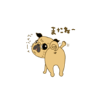 あたちパグのこうめ！！7（個別スタンプ：11）