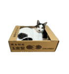 いずくと虎五郎（個別スタンプ：1）