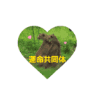柚葉いっぱい（個別スタンプ：8）