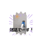 レオの部活❣️（個別スタンプ：1）
