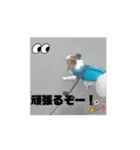 レオの部活❣️（個別スタンプ：4）