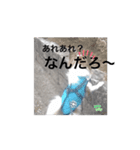 レオの部活❣️（個別スタンプ：5）