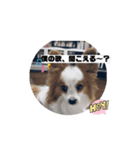 レオの部活❣️（個別スタンプ：6）