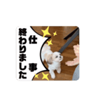ラララスク（個別スタンプ：1）