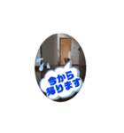 ラララスク（個別スタンプ：2）