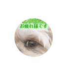 ラララスク（個別スタンプ：4）