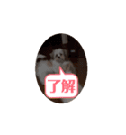 ラララスク（個別スタンプ：5）