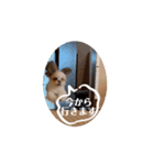 ラララスク（個別スタンプ：6）