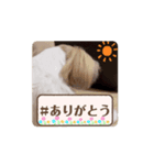 ラララスク（個別スタンプ：7）