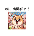 ぽかぽかポメ春日和（個別スタンプ：13）