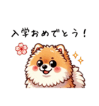 ぽかぽかポメ春日和（個別スタンプ：20）