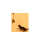 お茶目な  むさし（個別スタンプ：4）