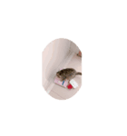 お茶目な  むさし（個別スタンプ：6）