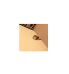 お茶目な  むさし（個別スタンプ：7）