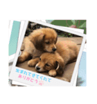 チロル＆チョコ出逢い編 2（個別スタンプ：2）