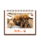 チロル＆チョコ出逢い編 2（個別スタンプ：5）
