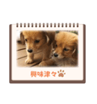チロル＆チョコ出逢い編 2（個別スタンプ：6）