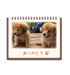 チロル＆チョコ出逢い編 2（個別スタンプ：7）