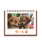 チロル＆チョコ出逢い編 2（個別スタンプ：8）
