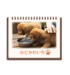 チロル＆チョコ出逢い編 2（個別スタンプ：10）