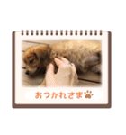 チロル＆チョコ出逢い編 2（個別スタンプ：14）