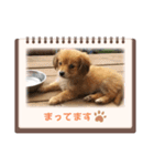 チロル＆チョコ出逢い編 2（個別スタンプ：15）