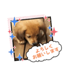 チロル＆チョコ出逢い編 2（個別スタンプ：21）