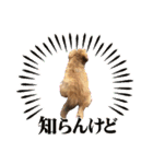 チロル＆チョコ出逢い編 2（個別スタンプ：28）