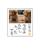 チロル＆チョコ出逢い編 2（個別スタンプ：30）