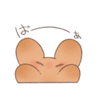 こげうさぎ カメラ沼に落ちるの巻（個別スタンプ：9）