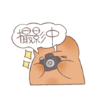 こげうさぎ カメラ沼に落ちるの巻（個別スタンプ：14）