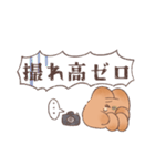 こげうさぎ カメラ沼に落ちるの巻（個別スタンプ：17）