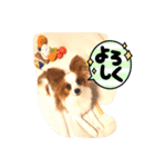 レオのアルバム❗️（個別スタンプ：8）