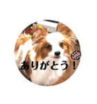こんにちは、レオ❗️（個別スタンプ：2）