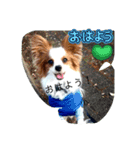 こんにちは、レオ❗️（個別スタンプ：5）